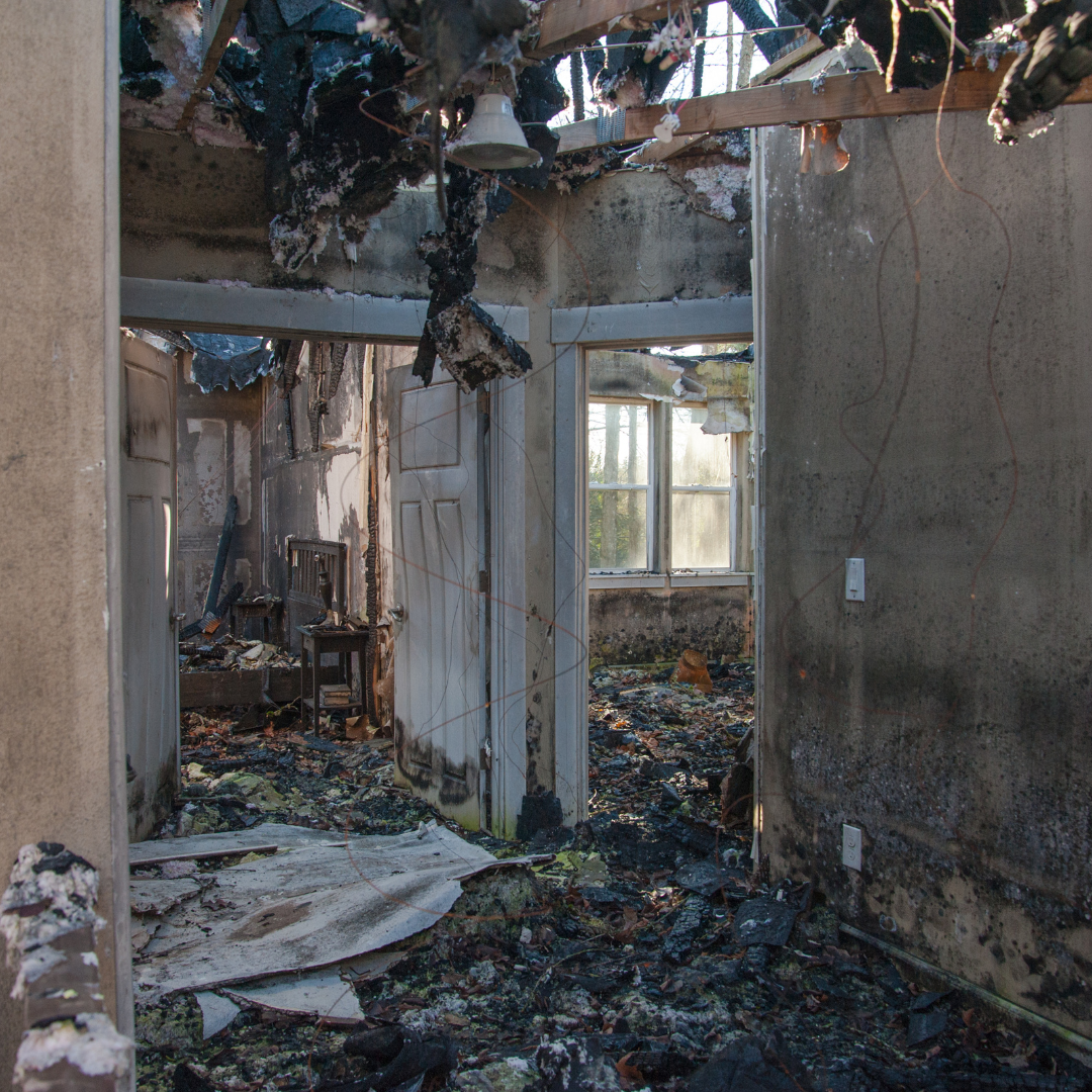 Fire Investigator - Module 2 (MAR 2026)